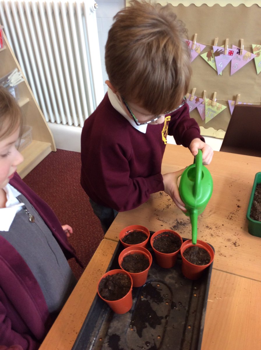 ABCPschool's tweet photo. #Class1D planting their seeds for #BritishScienceWeek2022 #ABScience https://t.co/L2OYmzYdhL