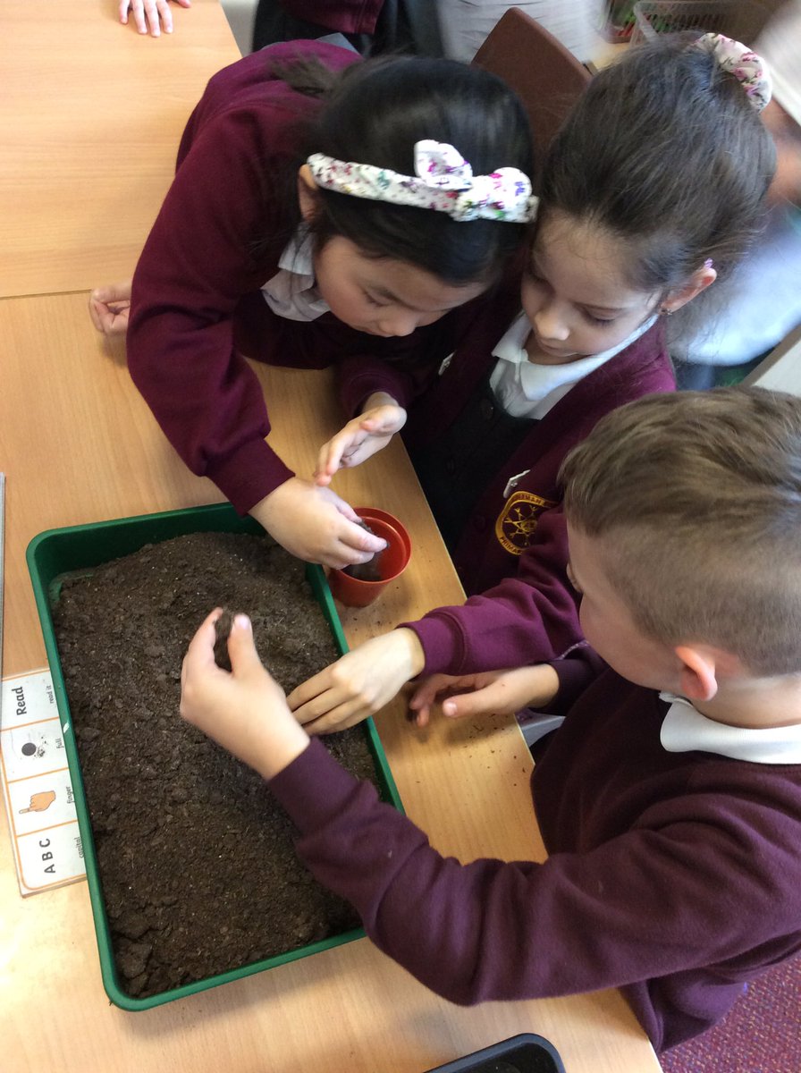 ABCPschool's tweet photo. #Class1D planting their seeds for #BritishScienceWeek2022 #ABScience https://t.co/L2OYmzYdhL