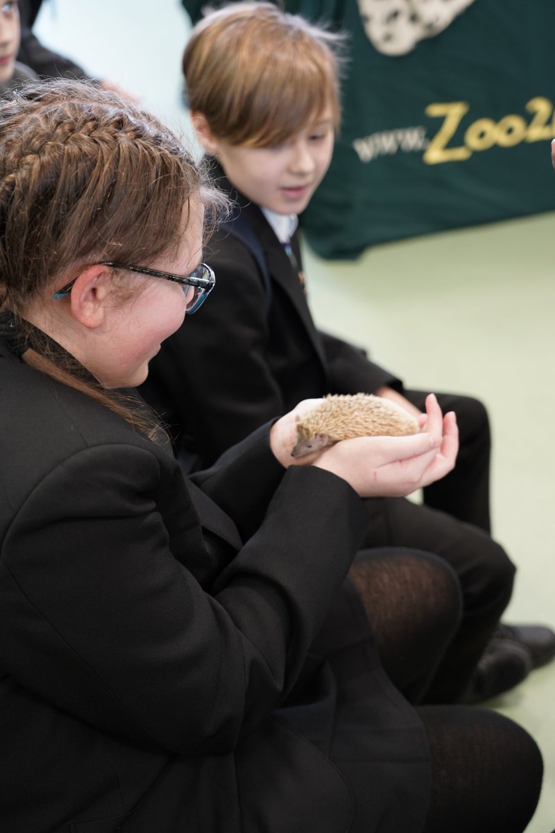 NewmanRCCollege's tweet photo. Thank you @Zoo2U_UK for bringing in some amazing animals for our students to learn about today.  It's been fascinating learning more about them. #scienceweek https://t.co/2VddHrcmbx