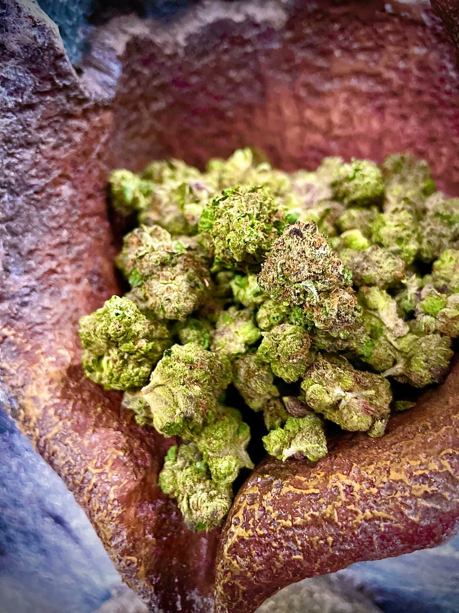 NaturaleafCOS's tweet photo. Today is all about the GREEN🍃!!! Come into your store we will guide you to the POT at the end of the rainbow🌈 https://t.co/U1tIYOy45p