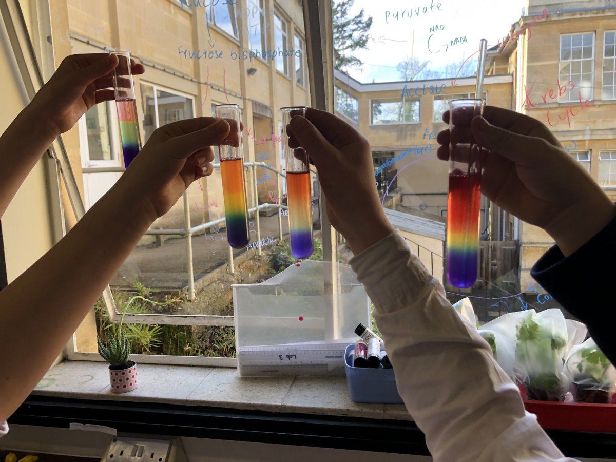 PriorPark's tweet image. It&apos;s #BritishScienceWeek2022 Cheers!