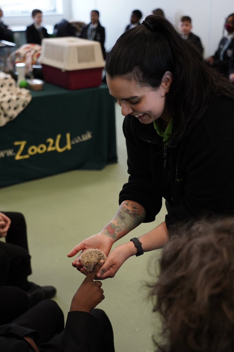 NewmanRCCollege's tweet photo. Thank you @Zoo2U_UK for bringing in some amazing animals for our students to learn about today.  It's been fascinating learning more about them. #scienceweek https://t.co/2VddHrcmbx