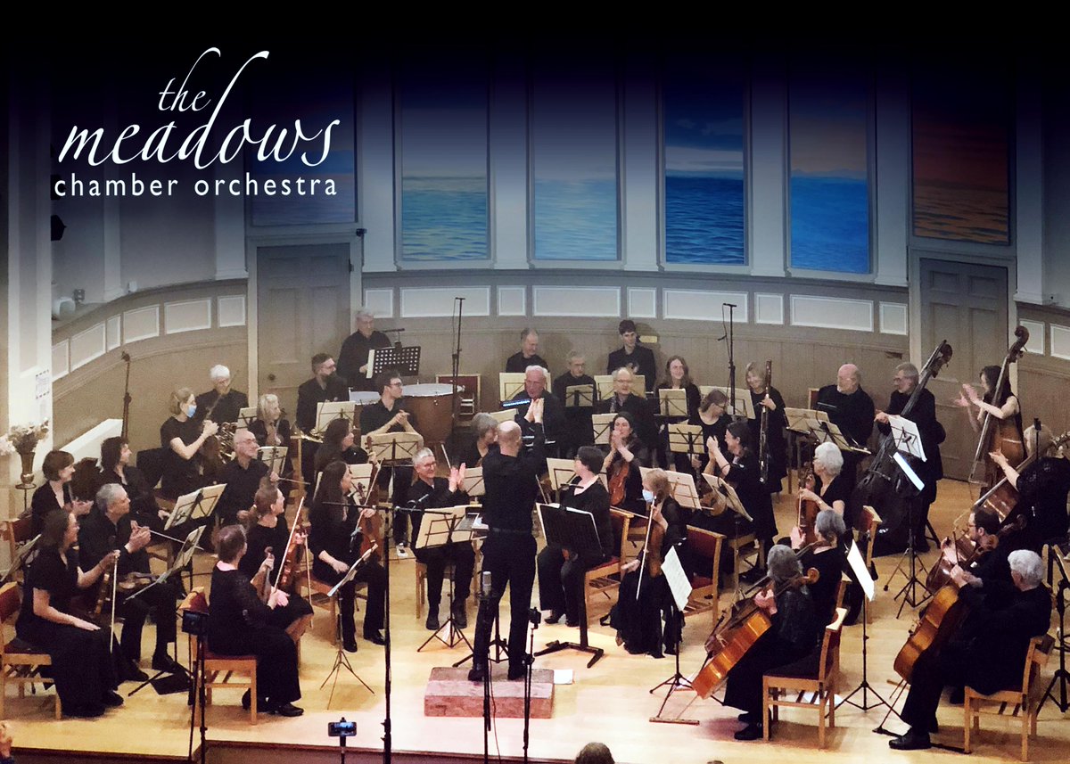 The Meadows Chamber Orchestra MCO tweet media