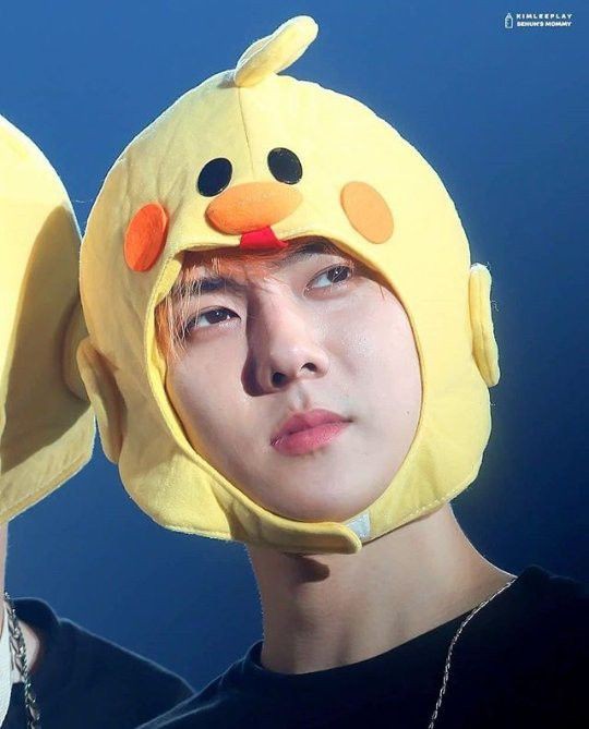 Starfess || CEK PINNED UNTUK KIRIM MENFESS tweet media