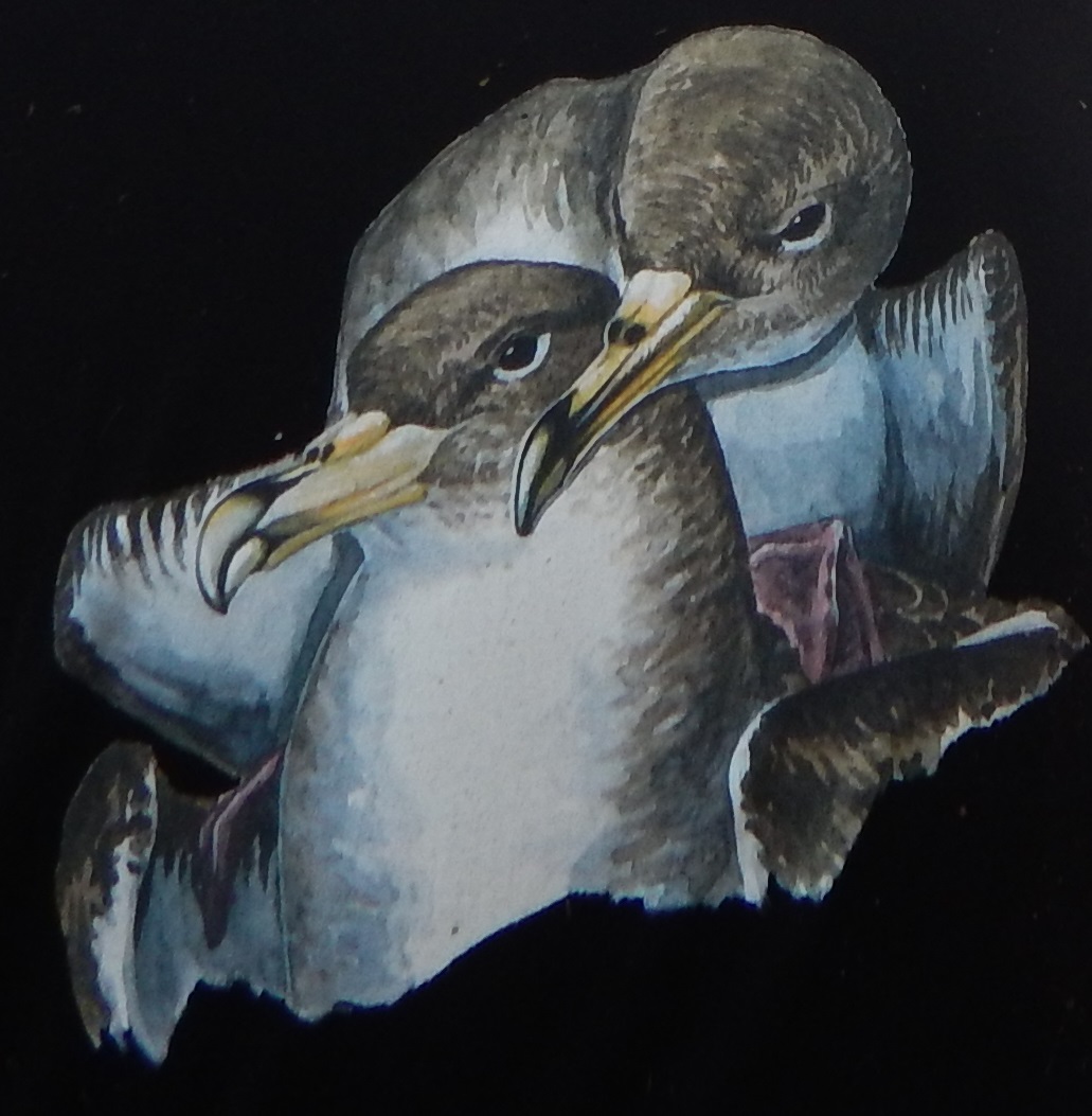 Here's the latest work released by <a href="/LucaIlahiane/">Luca Ilahiane</a> and <a href="/IreneSitta/">Irene</a>, in collaboration with <a href="/ParcoPortoConte/">Parco di Porto Conte</a> and <a href="/lamaddalenapark/">Parco La Maddalena</a>