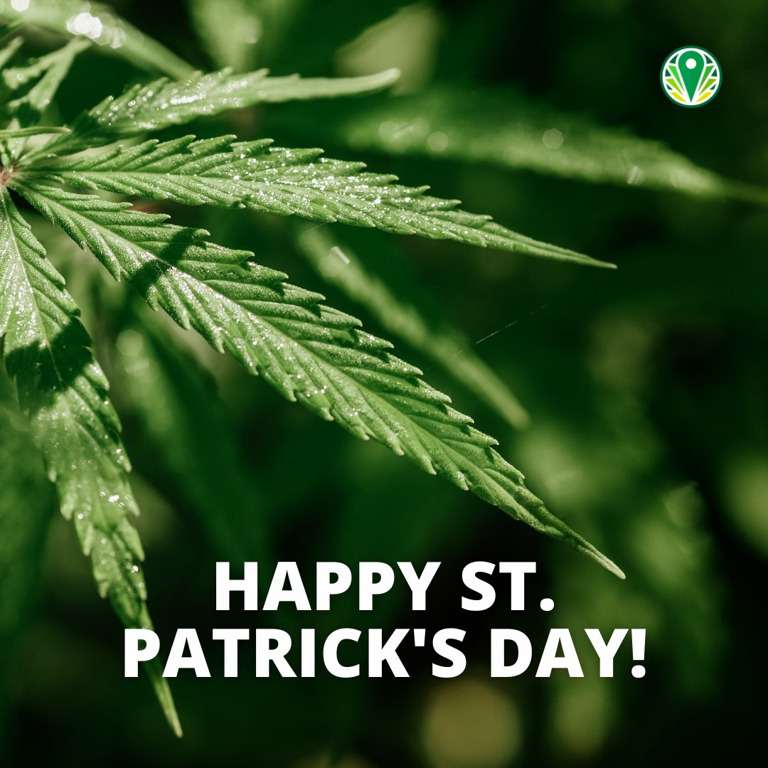 GreeneryMap's tweet image. We're always seeing green, but today it's a just a little brighter 💚