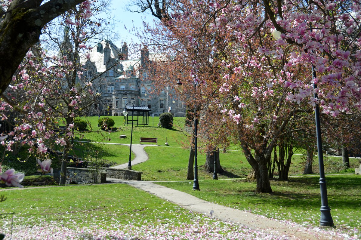 RosemontCollege's tweet photo. We are excited to host this year’s SEPCHE Honors Conference virtually March 26! The annual event is an opportunity for students to present scholarship in a setting beyond the classroom. Want to watch what are sure to be some fascinating presentations? Contact honors@rosemont.edu. https://t.co/uacCYMLgIC