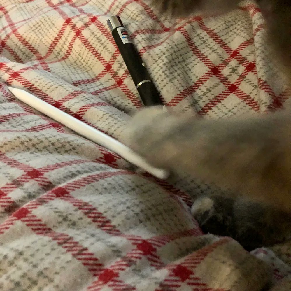 WayofCats's tweet photo. Rhiannon loves my Apple Pencil. Here, she asks to play with Pencil, and I give her the laser pointer instead. Now she can play with it to ask me to make it go. I have a toy to play Yours and Mine.
#HumanTraining #CatTraining #KittenRaising #YoursandMine https://t.co/njcWbgoN7U