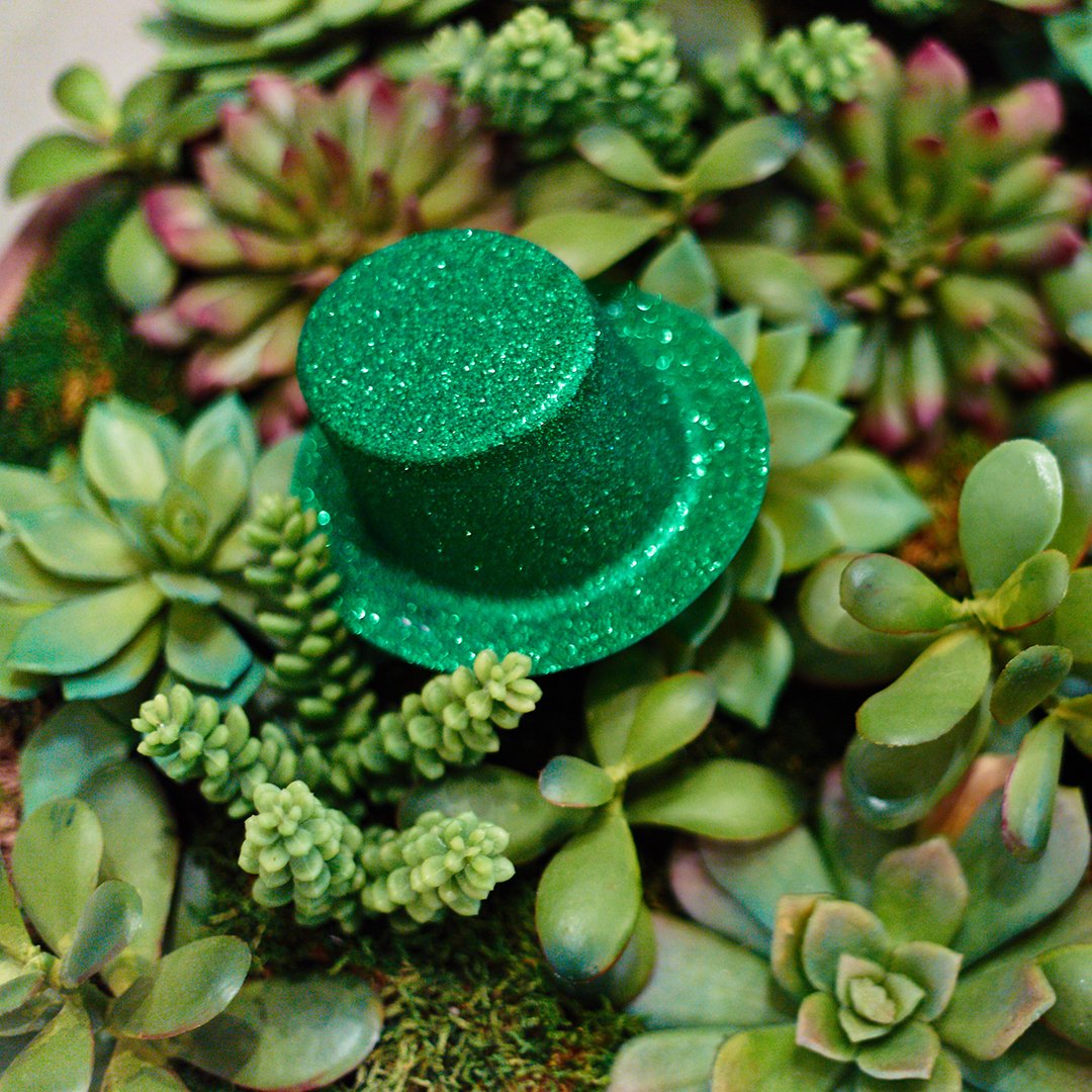 Happy St. Patrick's Day! 🎩🍀 ____________________________ #robbstucky #interiordesign #green #stpatricksday #succulents #naples #florida