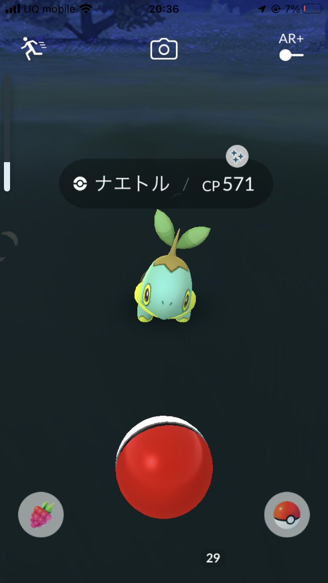 ポケモンgo ナエトルの入手方法 能力 技まとめ 攻略大百科 ポケモンgo ナエトルの入手方法 能力 技まとめ 攻略大百科