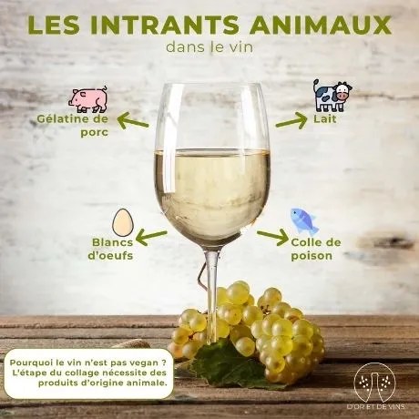 Qu’est-ce que le vin vegan ? doretdevins.com/quest-ce-que-l… 

#vegan #vin #vinvegan #veganfood #veganism