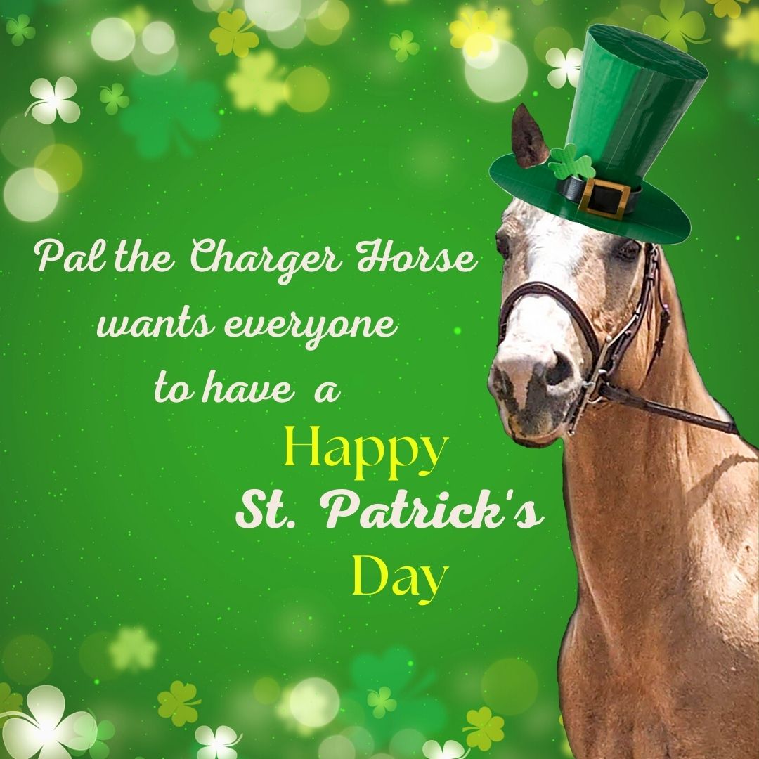 Stagg Media Center tweet media