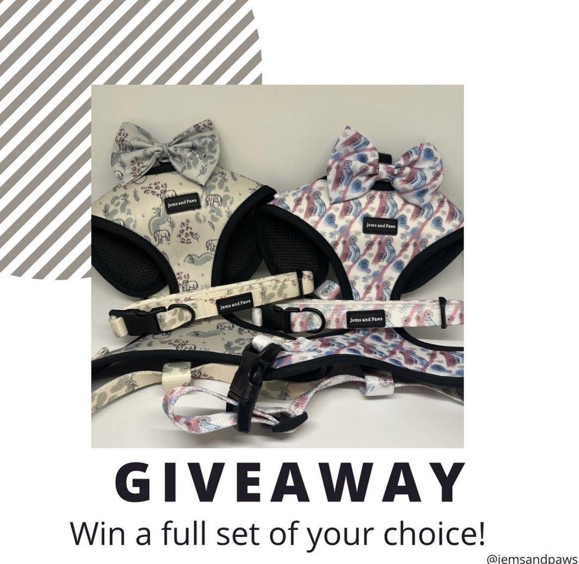 ✨WIN✨
A full set for your doggo 🐶
from our company JemsandPaws. Head over our Instagram ‘jemsandpaws’ to enter. Subscribe to our mailing list to stay updated jemsandpaws.co.uk 

#DogsofTwittter #Giveaway
