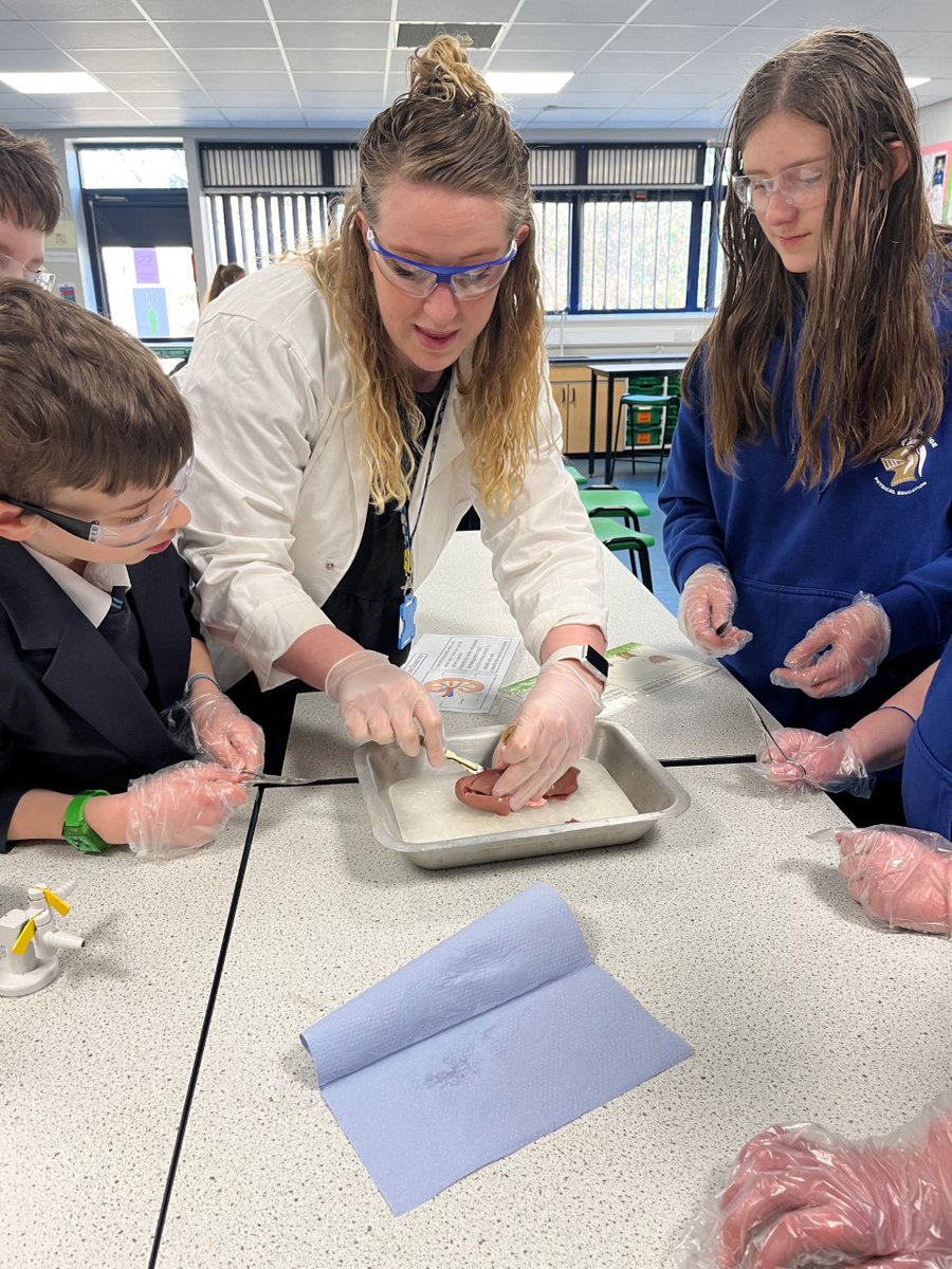 ivanhoe_school's tweet image. As our last activity for #BritishScienceWeek2022 students got the chance to have a go at dissection as part of the Brilliant Biology lunchtime workshop.