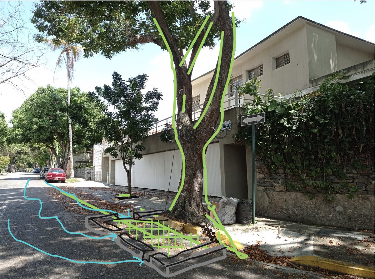 WillSandyDesign's tweet photo. Great to be back with @fundespacio and @veBritish working with the students in #Caracas today | A live bilingual design workshop | Exploring the socio-economic and environmental benefits of urban trees and green infrastructure. #RightTree #RightPlace #RightReason @British_Design https://t.co/EL96TgLQ10