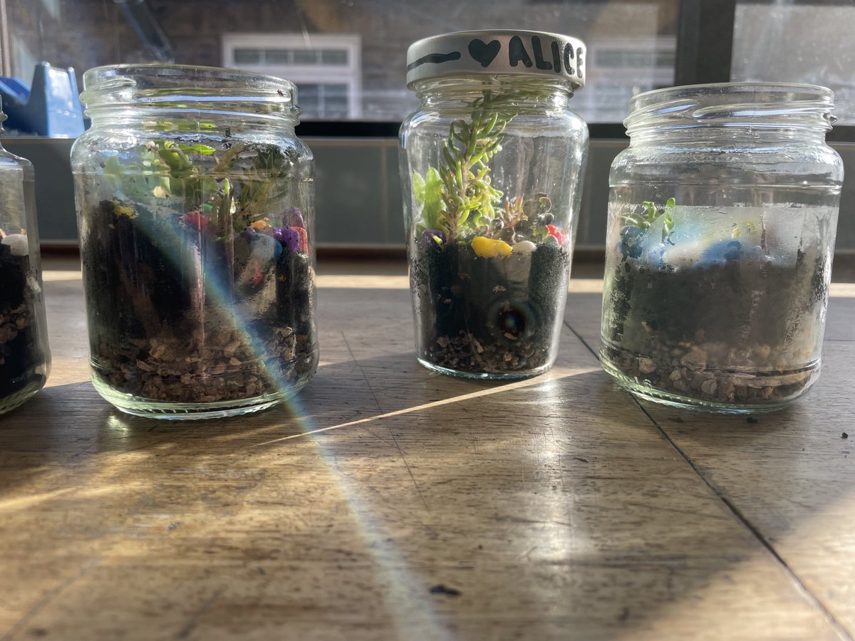 ScienceBHGirls's tweet photo. Biologists in year 10 have been making mini terrariums to celebrate #growth for #BritishScienceWeek2022 https://t.co/tqfFuLXjM1