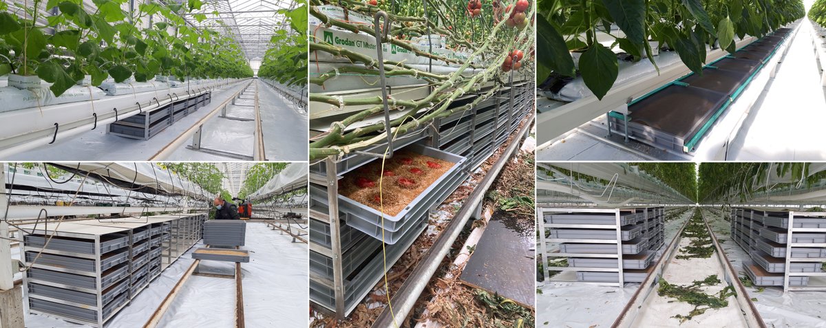 InAgrotopia tweet media