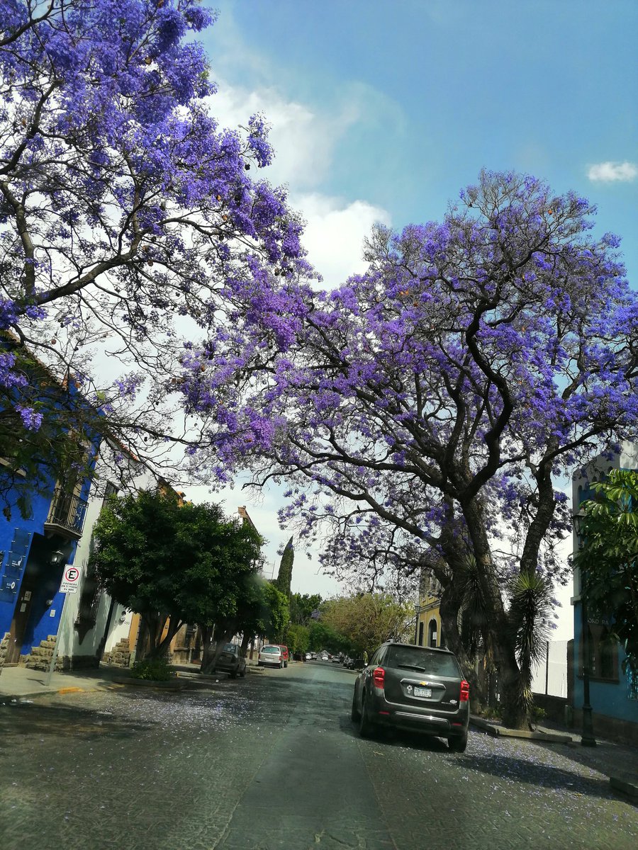 Para ti <a href="/SashaSokol/">Sasha Sokol</a> 😍💜 siempre contigo