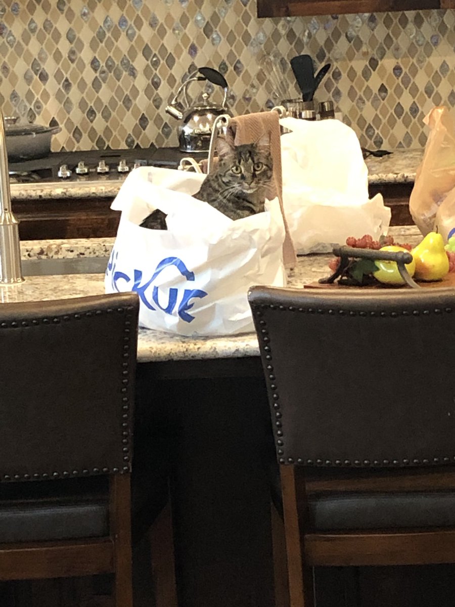 kunphuzn's tweet photo. Hey @kroger I found something I didn’t order in my #ClickList pick up this morning.  How do I arrange a return?
#CatsOfTwitter https://t.co/bPmbkXfUkr