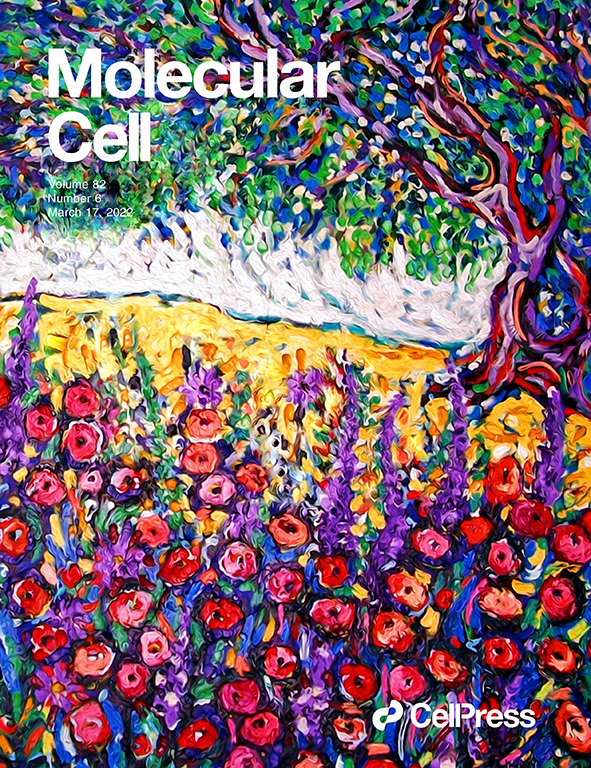 MolecularCell's tweet photo. Our latest issue is out today! https://t.co/ie4LKiZKdn https://t.co/ucrtlOQQgw