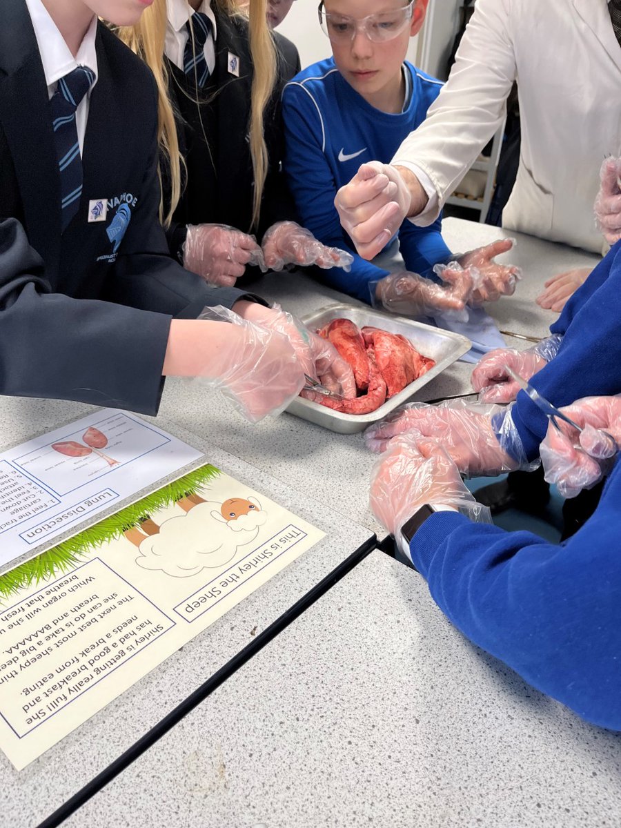 ivanhoe_school's tweet image. As our last activity for #BritishScienceWeek2022 students got the chance to have a go at dissection as part of the Brilliant Biology lunchtime workshop.
