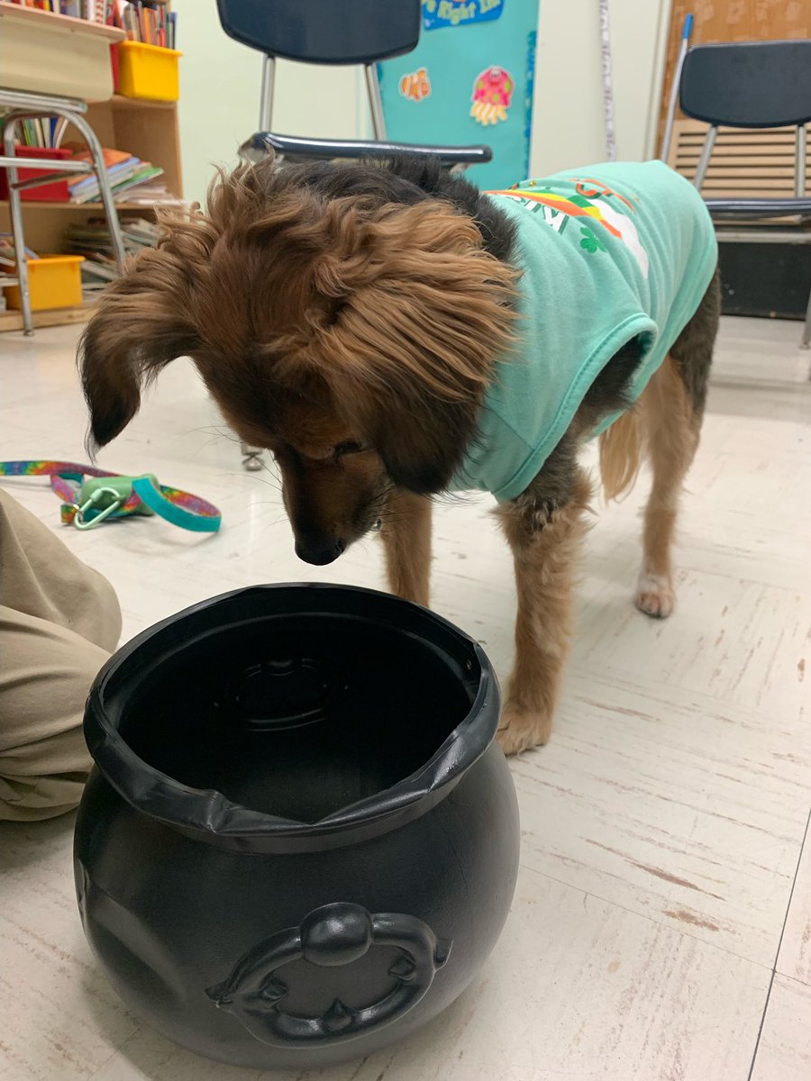 Juno76Q's tweet photo. There’s always a Pot-O-Treats at the end of every rainbow! https://t.co/2VoxR9bp6M