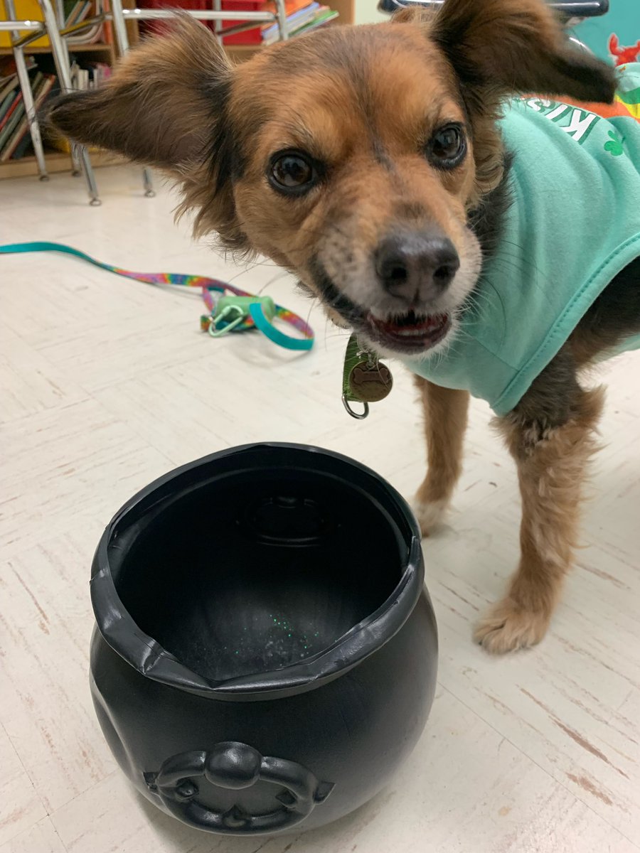 There’s always a Pot-O-Treats at the end of every rainbow!