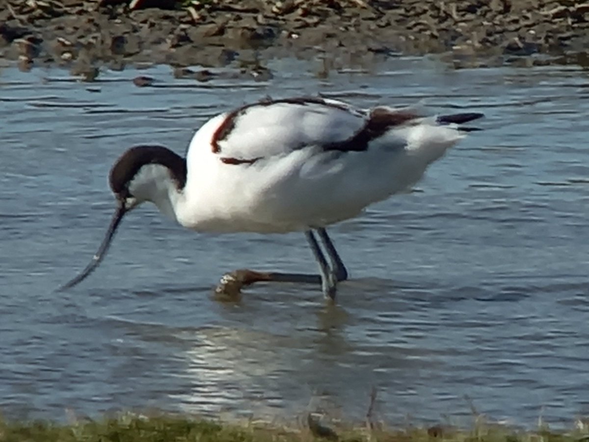 Matthew Peak tweet media