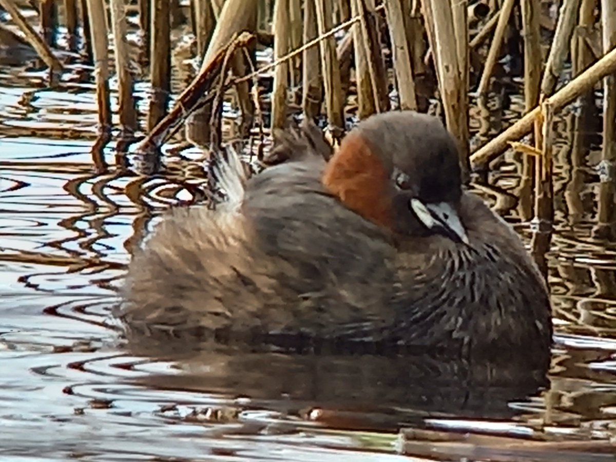 Matthew Peak tweet media