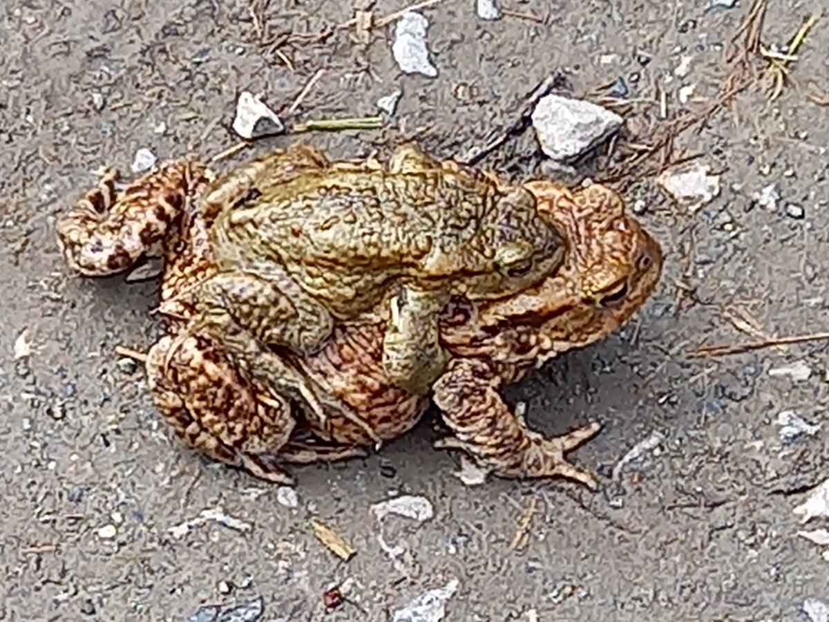 Matthew Peak tweet media