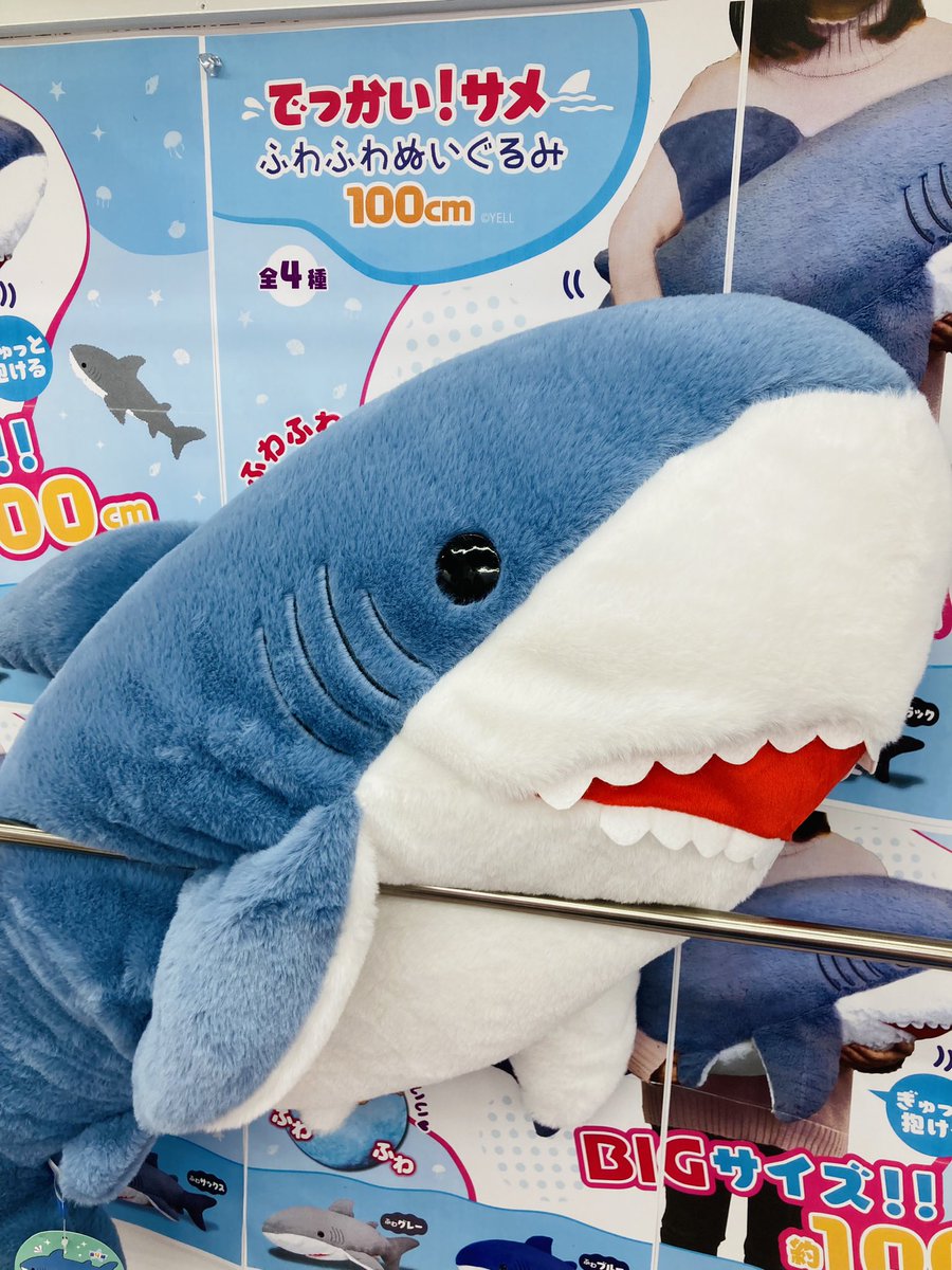 新景品のお知らせです☆ でっかい！サメ ふわふわぬいぐるみ 100cm -全4種-