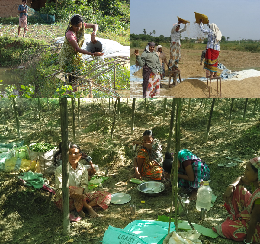 SaciWATERs's tweet photo. #Women are key stakeholders in the agriculture sector, from #seedtomarket.
Building their voice, capacities, and support systems need to be core to India's policies on #farmers. https://t.co/8fVT95KZM0