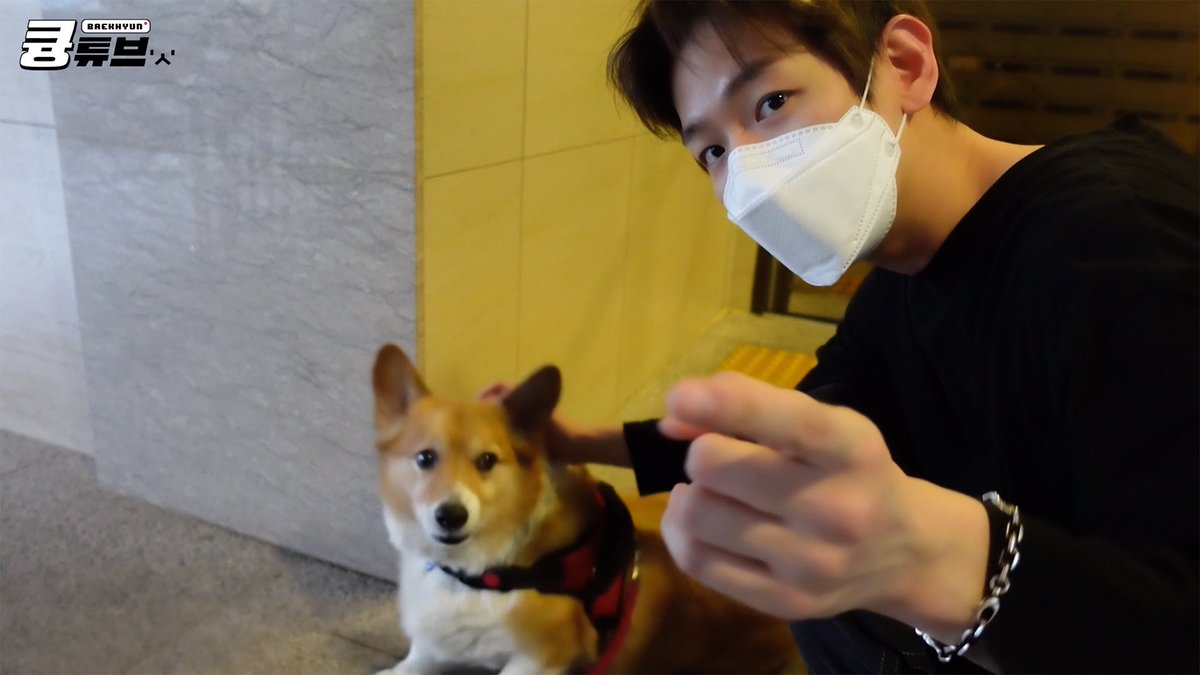 amon_saynuy's tweet photo. รักที่สุด❤❤❤❤❤❤❤❤❤❤
#BAEKHYUN @B_hundred_Hyun https://t.co/QjbuOvfSMH