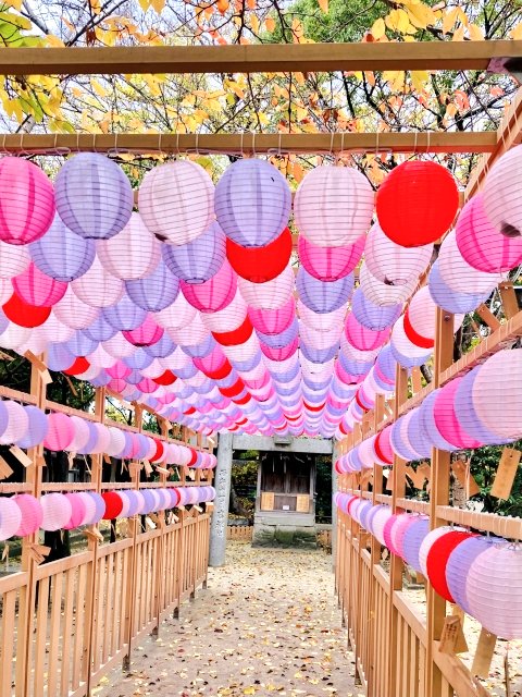 なるほど福岡 福岡地域情報ローカルメディア 福岡県那珂川市にある現人神社 恋ぼんぼり が有名インスタ映えスポットとなった しかし なぜ恋愛とぼんぼり 見た目にかわいいから って気になって公式サイトを見てみたら すごく素敵な言葉と想いが