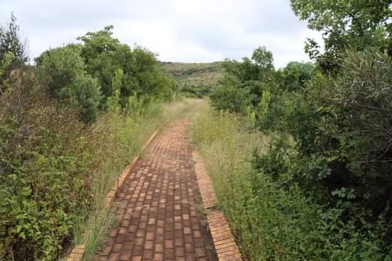Wheelsofchange3's tweet photo. Everyone is welcome to participate!

There's an entry fee of R200 that includes, water and braai. 

U can book a wheelchair if u want to hike with one. Limited wheelchairs available( first come first serve)

Profits made will be put towards assisting youth  addicted to nyaope🙏🏿 https://t.co/5k5op5yupK