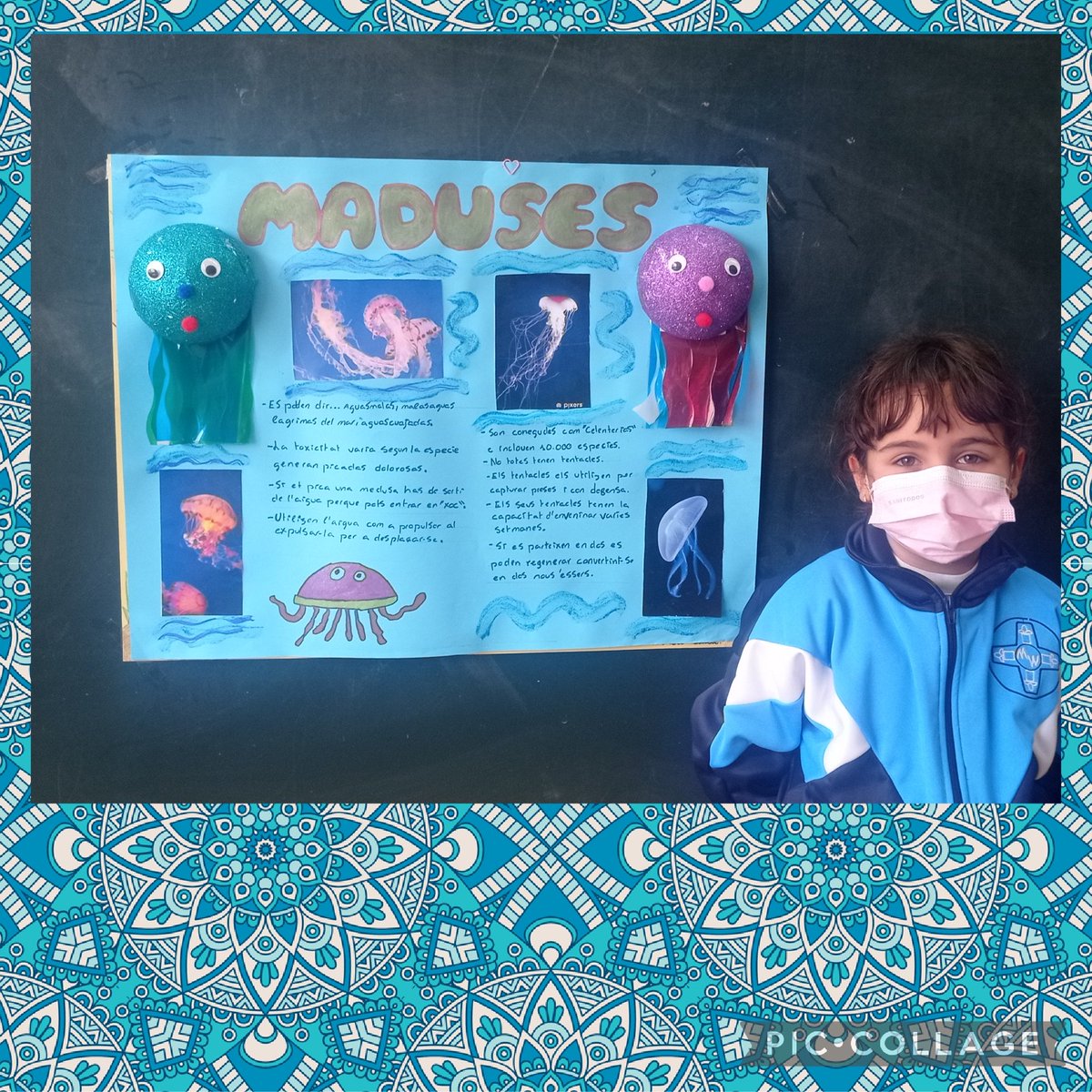 EscolaMariaWard's tweet photo. #2EPB Exposicions orals: Avui la Valerie ens ha parlat de les meduses. Ho has fet molt bé!🤩 https://t.co/Q1yBLs7OF0