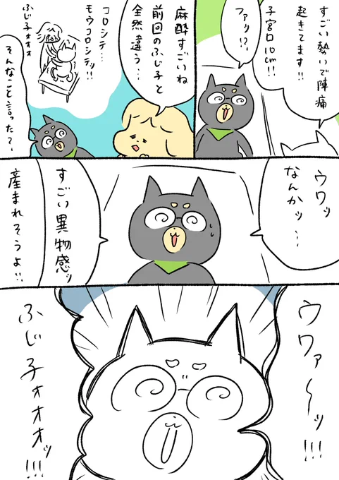 無痛分娩レポ⑤
ラストです! 