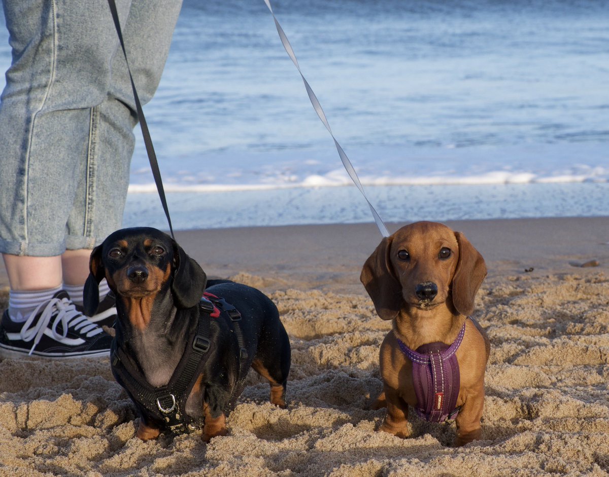 Sam Pace tweet media