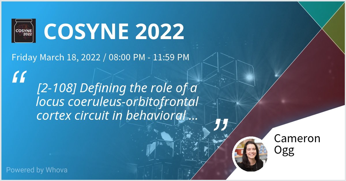 Cameron Ogg tweet media