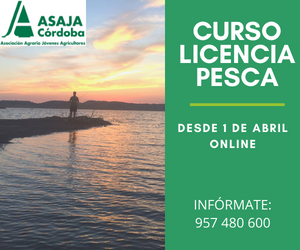 🎣🎣Próximo curso online de licencia de pesca
Comienzo, 1 de abril
Infórmate! ☎️957 480 600