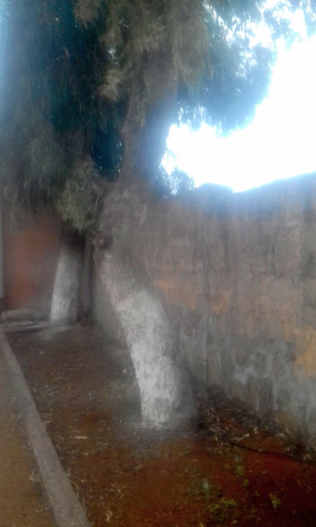 Always strong together