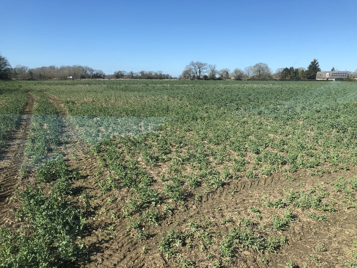 Tom Jewers tweet media