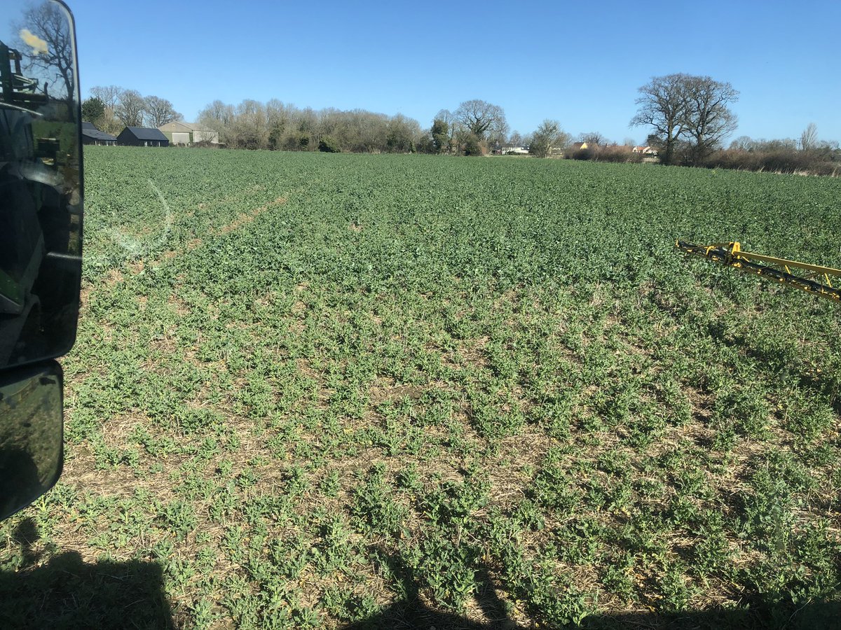 Tom Jewers tweet media