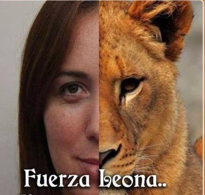 agusalejook's tweet photo. la foto que le pusieron a paulo londra para su regreso tiene la misma energy que esto https://t.co/yBZRxc16zf
