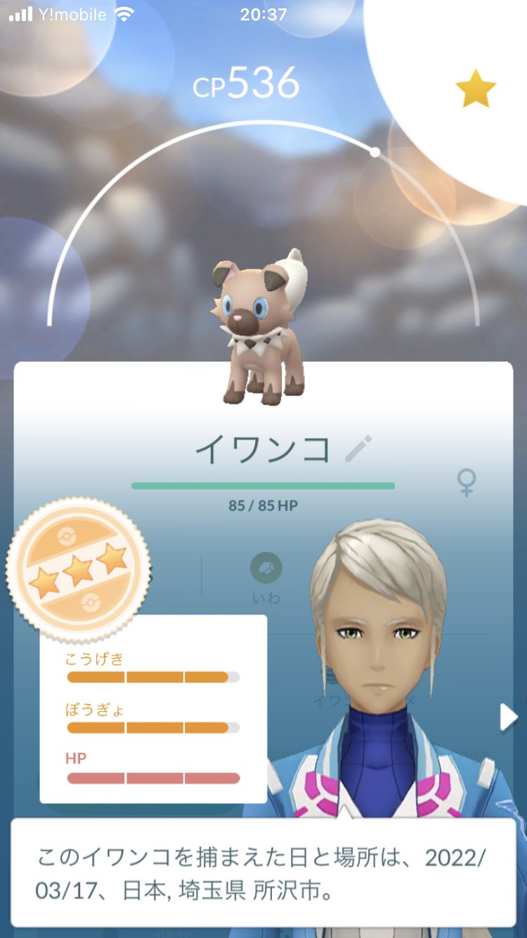 イワンコ Twitter Search Twitter