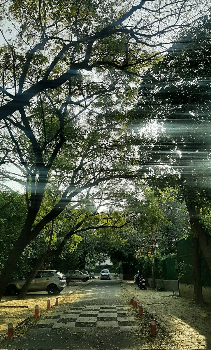 Last day of Spring in Delhi.