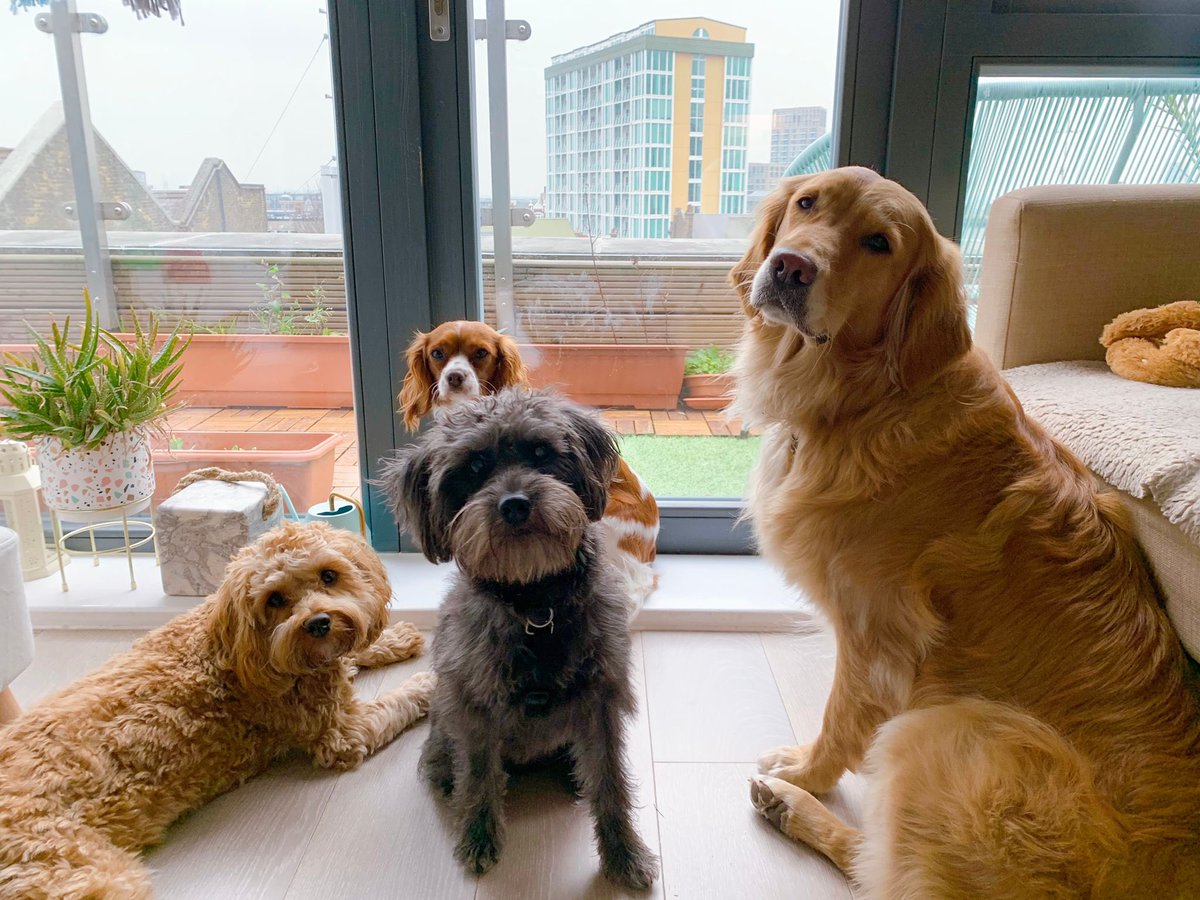 Stevie Martin tweet media