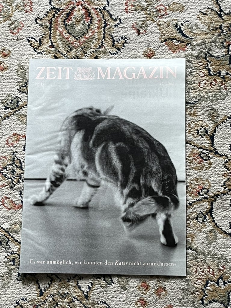 Artur Weigandt tweet media