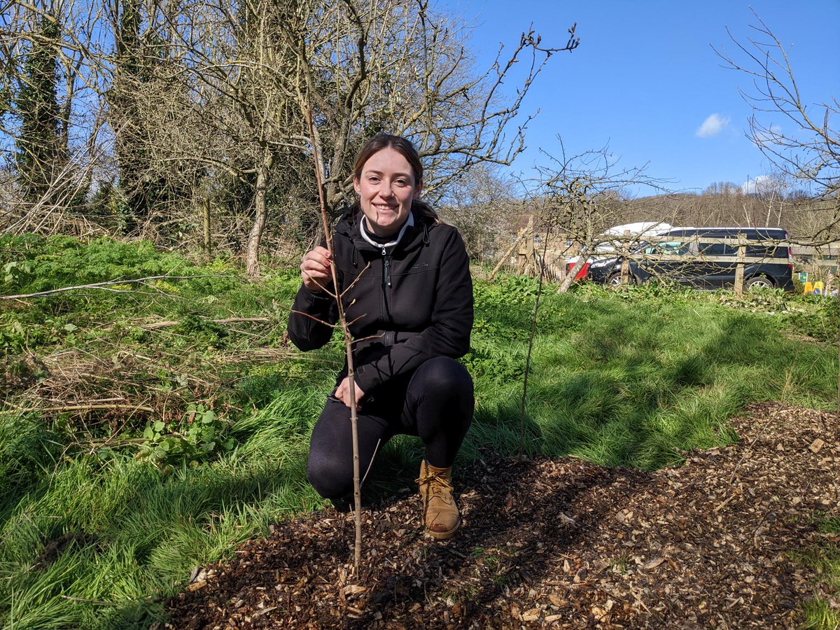 Beautiful day for #treeplanting in Ealing - here's  Carbon Footprint's Zoe R in action . Support #reforestation  now pos.li/2kuk9k  #climateemergency <a href="/johnbcarbon/">John Buckley</a>