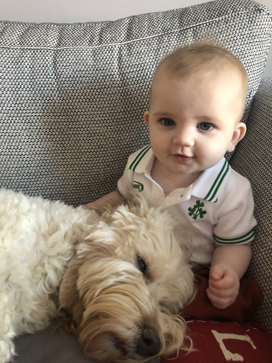 HarleyLedwidge's tweet photo. My tiny human brother is helping me relax today…sleepy time #bonding #DogsAreFamily #love 💙 https://t.co/1yYCz1awIC